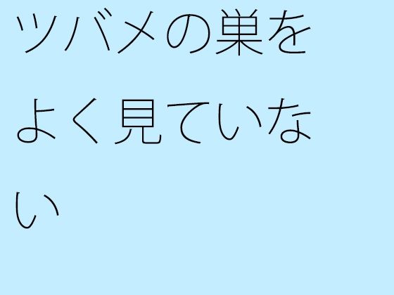 ツバメの巣をよく見ていない