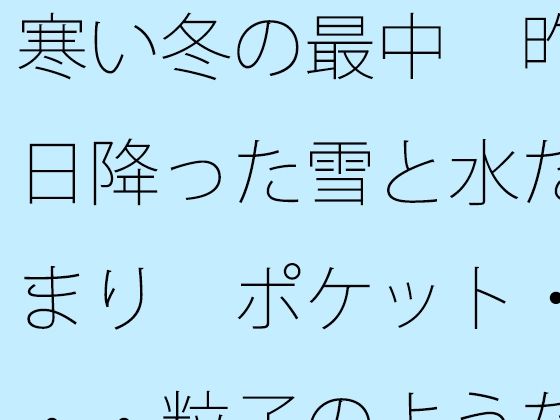 寒い冬の最中  昨日降った雪と水たまり  ポケット・・・粒子のようなことが