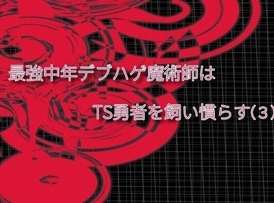 [同人]「最強中年デブハゲ魔術師はTS勇者を飼い慣らす（3）」(えちちどっとこむ)