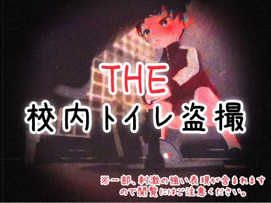 [同人]「THE・校内トイレ盗撮」(仮想現実少女)