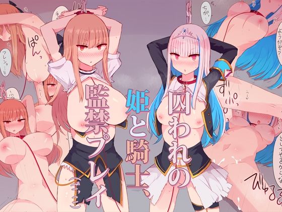 姫と騎士監禁プレイごっこ