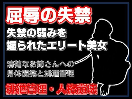 密室の聖女失禁:エレベーターに閉じ込められた清楚な年上美女をペットボトル排尿で屈服させた夜