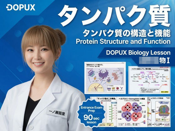 【▲20】一ノ瀬廻里 大学に進学し強豪予備校『DOPUX(ドピュックス』で生物I,IIを教える名物講師に!(Vol.017:タンパク質)