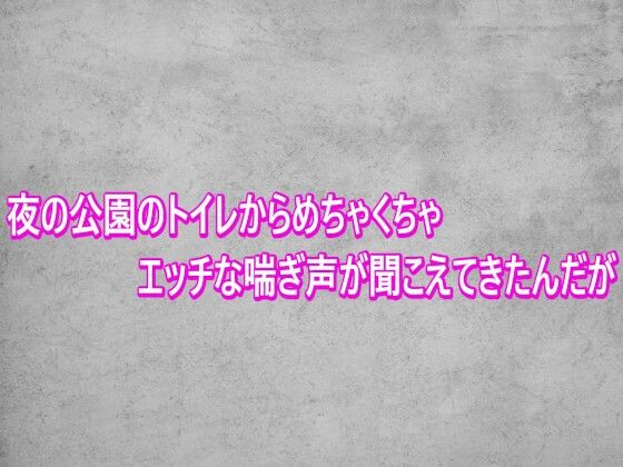 [同人]「夜の公園のトイレからめちゃくちゃエッチな喘ぎ声が聞こえてきたんだが」(ガールズコレクション)