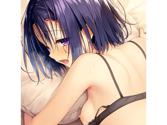 [同人]「R18 イラスト集（14枚） はるな」(とらっぶる)