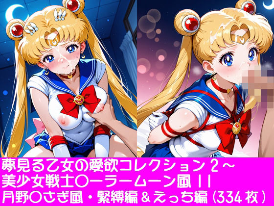 [同人]「夢見る乙女の愛欲コレクション2〜美少女戦士〇ーラームーン風11・月野〇さぎ風・緊縛編＆えっち編」(ぱてぃすりーず)