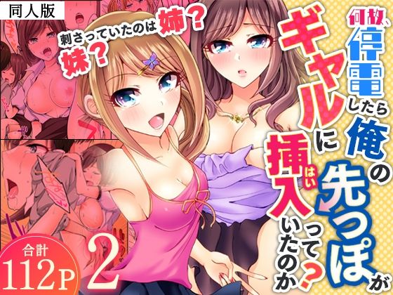 [同人]「何故、停電したら俺の先っぽがギャルに入っていたのか？〜刺さっていたのは姉？妹？〜【同人版】2」(ヌキ忍)