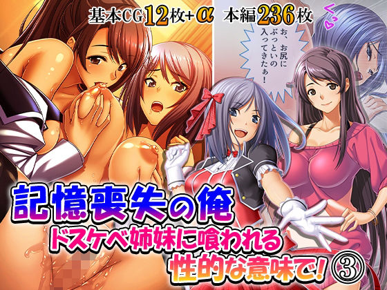 [同人]「記憶喪失の俺…ドスケベ姉妹に喰われる、性的な意味で！ 3巻」(悶々堂)