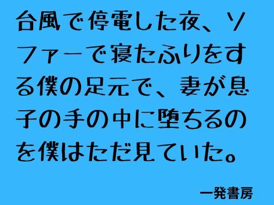[同人]「台風で停電した夜、ソファーで寝たふりをする僕の足元で、妻が息子の手の中に堕ちるのを僕はただ見ていた。」(一発書房)
